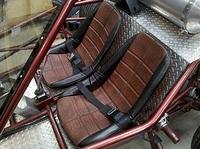 Buggy Seats