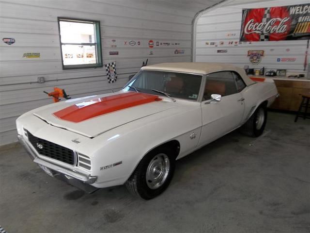 camaro (Medium)