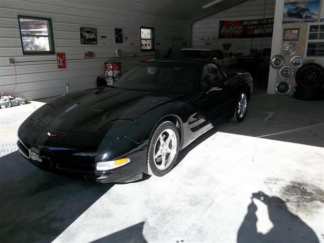 corvette 98 (Medium)